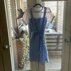 Dorothy Costume
